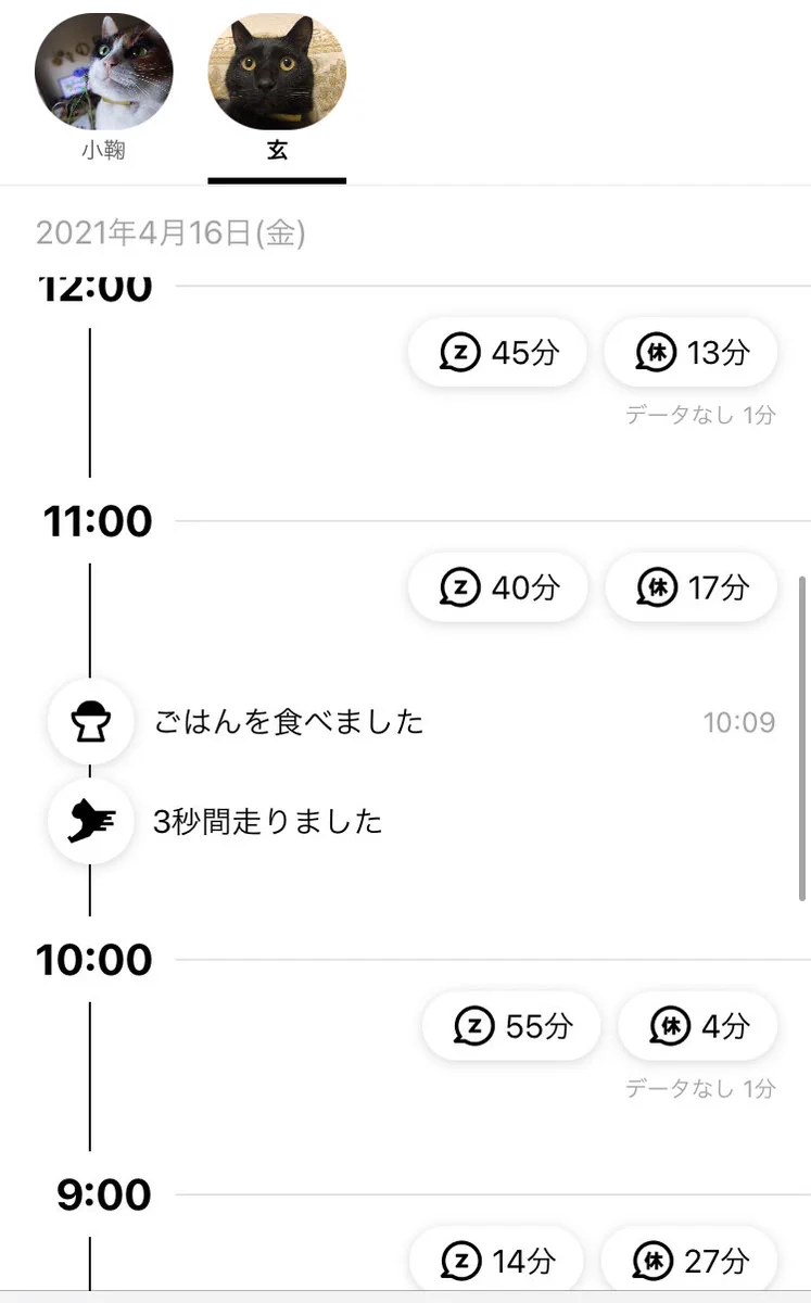 やっぱりと言うかなんと言うか…ｗｗ何もしてなかった愛猫たち！