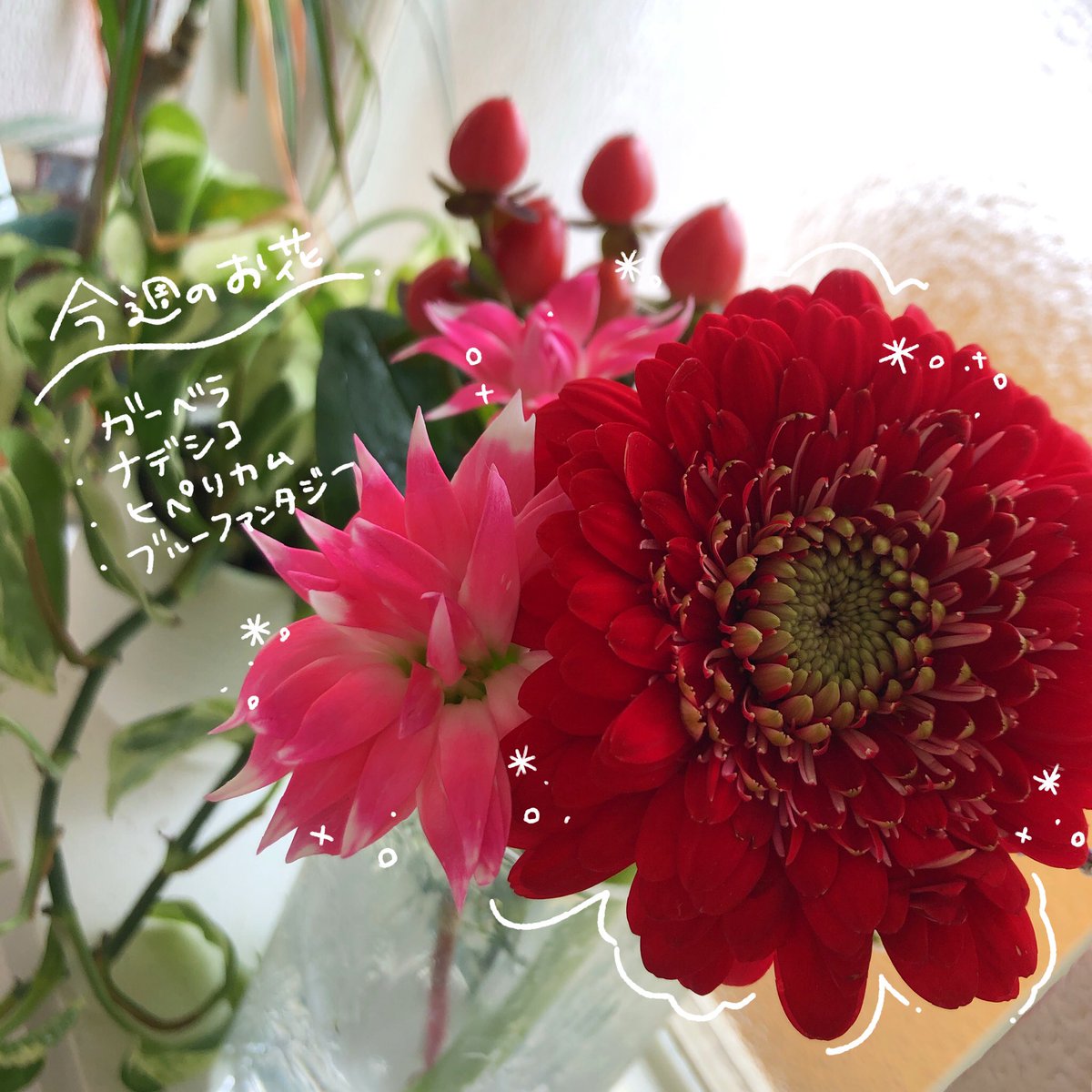 #花の定期便 #bloomee 【@bloomee_jp 】さんのアンバサダーをさせて頂くことになりました🌷.*

家にお花があるだけで癒される〜!
今週はこんなにかわいいお花がポスト投函されておりました📮 ___🌼💌 .

 #ブルーミー
#花のサブスク
 #PR

https://t.co/v0VwlvpkK6 