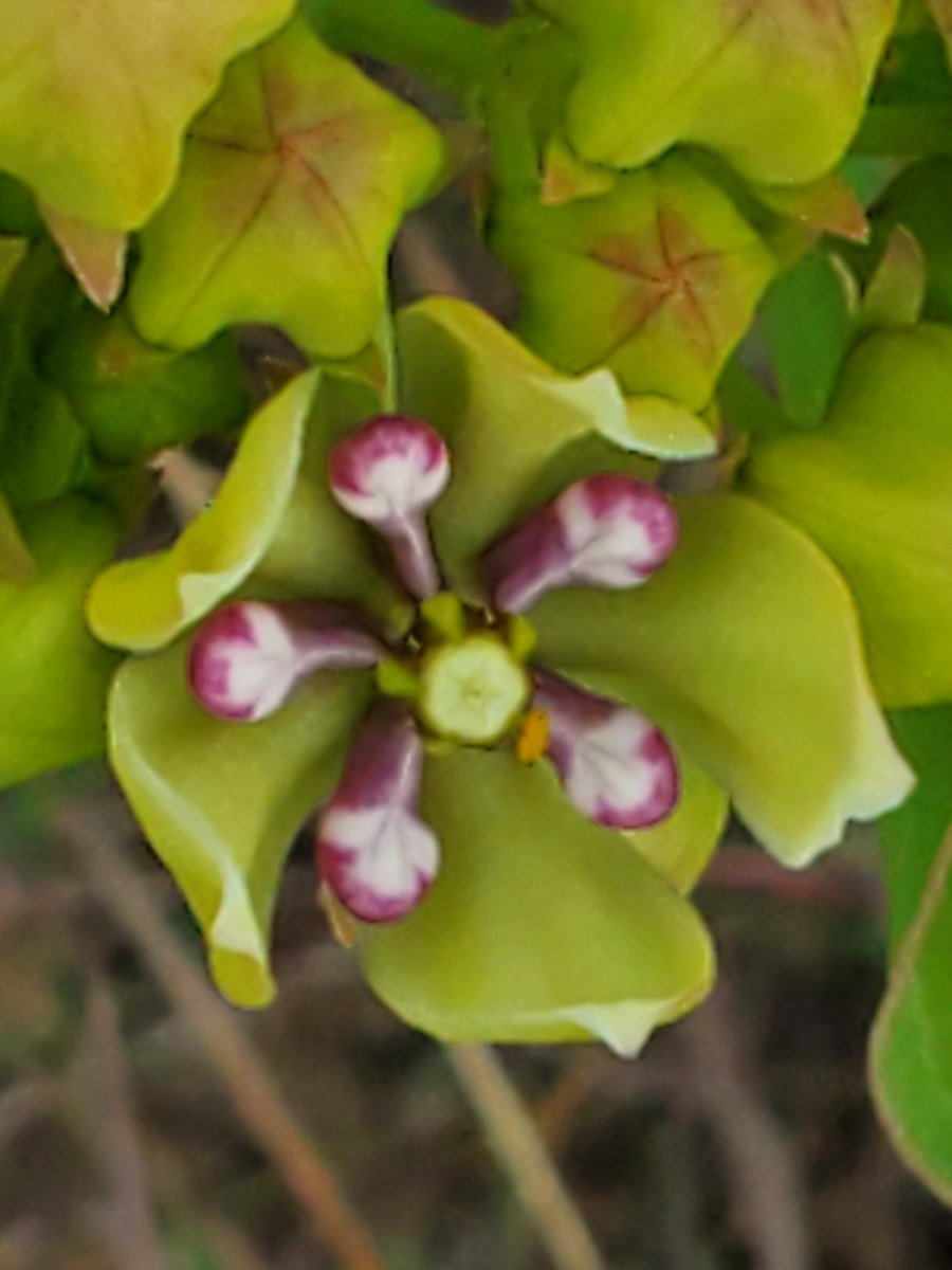 don909tiny's tweet image. 