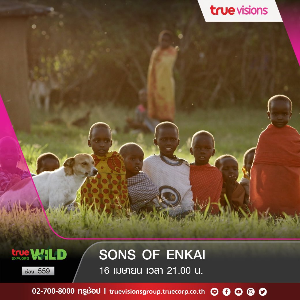 TrueVisions's tweet photo. คืนนี้ห้ามพลาด! SONS OF ENKAI [สารคดี] ช่อง True Explore Wild 559  
.
🇰🇪วิถีชีวิตชาว"เอนไค"
.
📌 ติดตามชมได้คืนวันศุกร์ เวลา 21.00 น. วันที่ 16 เม.ย.นี้ ทางช่อง True Explore Wild 559
  .
#TrueVisions #สารคดี #TrueExplorewild #tvsProgramming #TrueVisionsNo1Documentary #TVSDoc https://t.co/F8KQqt6z1b