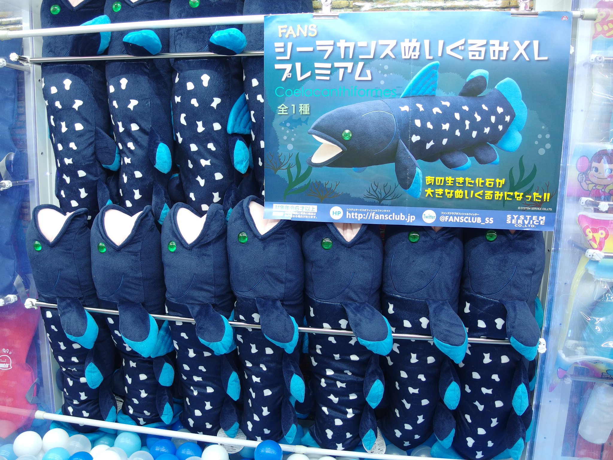 けもフレあみぐるみ「シーラカンス」 27年間誠にありがとうございました！当店は1/31で閉店となりまし