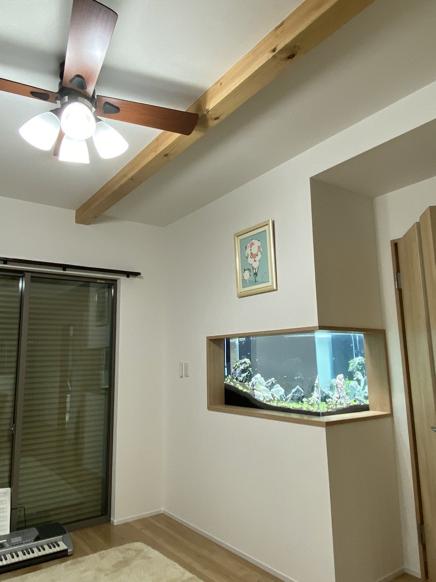 もののん 壁面水槽に挑戦中 Monononmononon Twitter