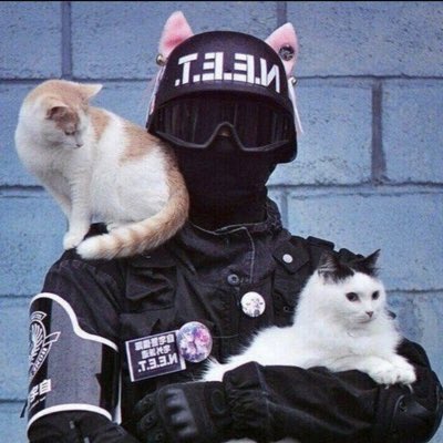Deadfishes1's tweet photo. #NewProfilePic https://t.co/zw5GLIGrnO