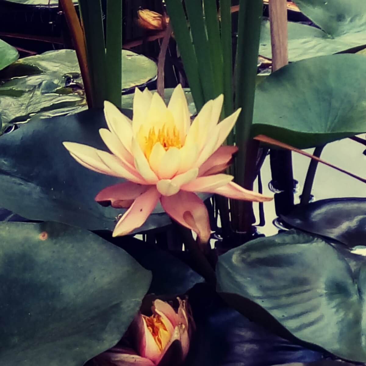 EuropeGenesys's tweet image. Într-o lume de #basm ...
🌼 lnkd.in/eTM4gek 🌸 
... un aer de #poveste ❀✿🌷🌼