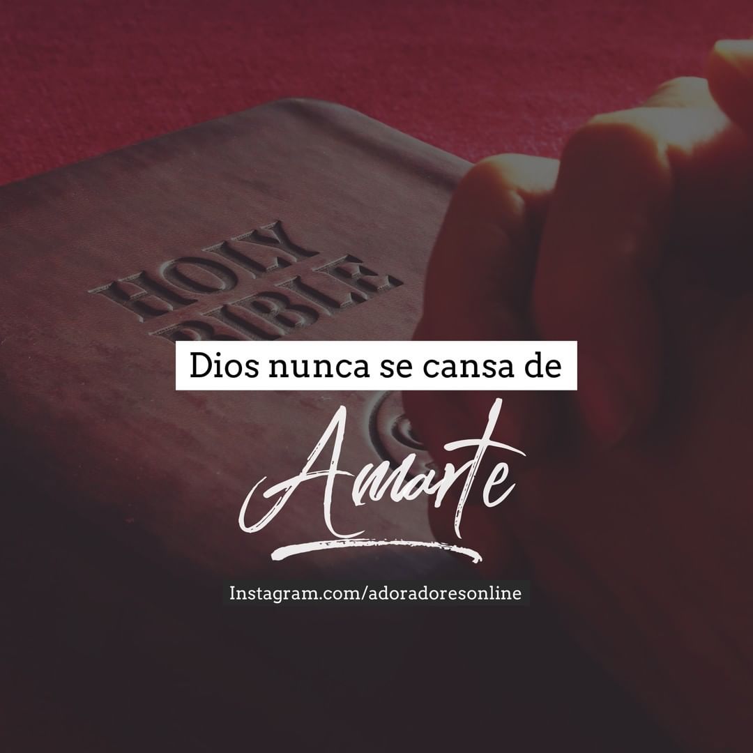 NewsIglesia's tweet photo. ✨ Sigue más fotos en nuestro instagram https://t.co/RlqcPxrxVC https://t.co/aTkHV70rwD