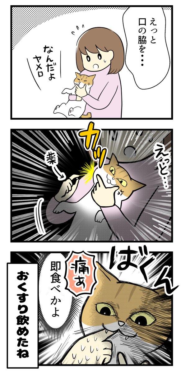 飼い主の技量が問われる薬の飲ませ方とは? #漫画が読めるハッシュタグ #保護猫さんと暮らす 