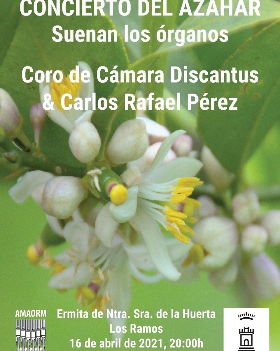 Volvemos al escenario con el magnífico "Concierto del Azahar".

Coro de Cámara Discantus &amp; Carlos Rafael Pérez

#discantus #cultura #aytomurcia #Murcia #coros #música #culturasegura #culturamurcia #amaorm #órgano #losramos #huertademurcia