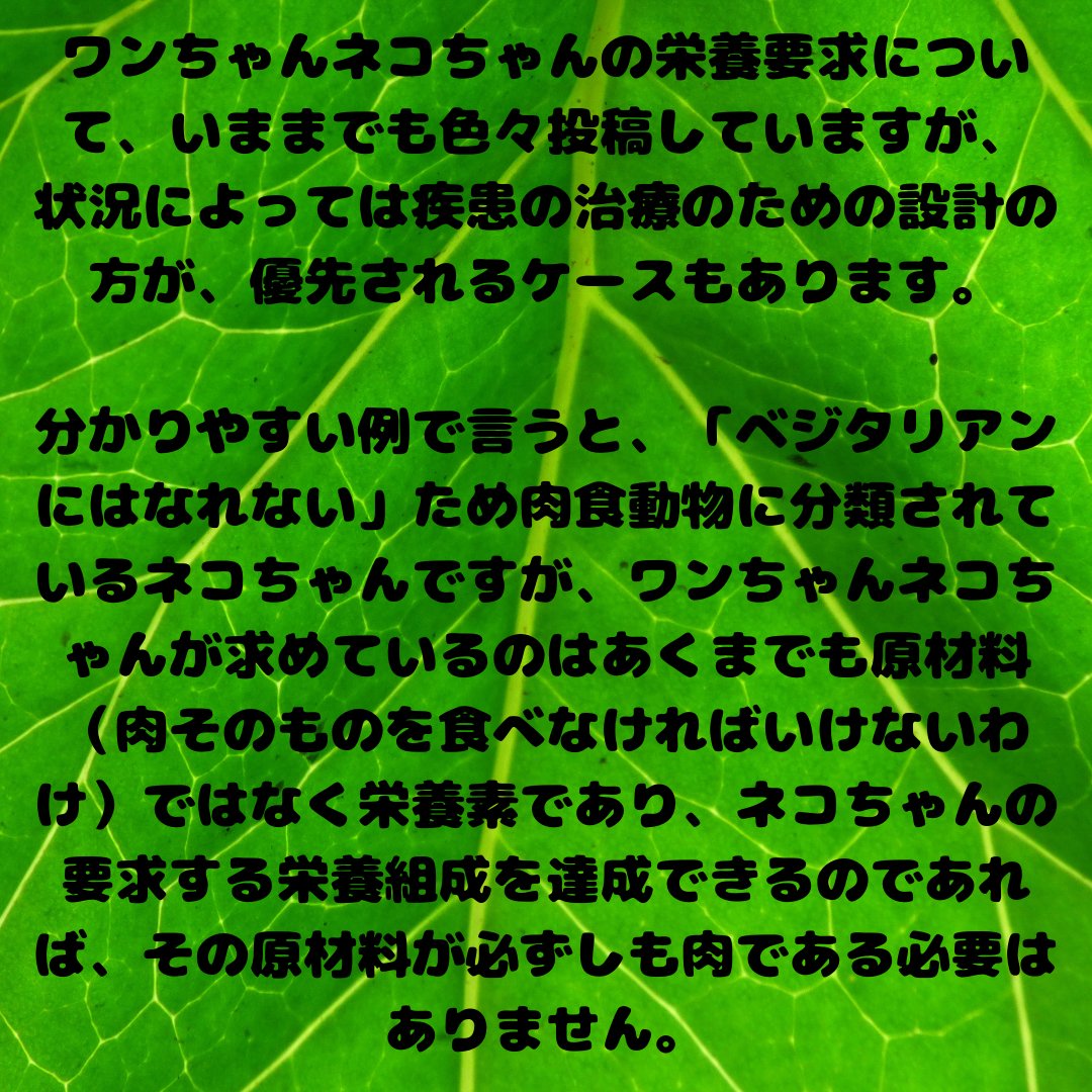 Dog And Cat Homemade 手作り食レシピ ベジタリアンやヴィーガンになれないはずのネコちゃんに 肉を食べさせない食事は可能か 犬 Dog 猫 Cat 手作りごはん 手作りご飯 手作り食 猫好きさんと繋がりたい 犬好きさんと繋がりたい 手作り