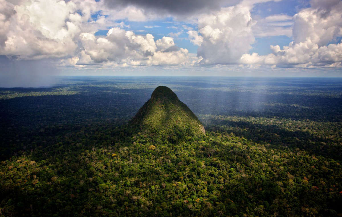 Today we're off to Parque Nacional Sierra del Divisor (in English, Sierra Del Divisor National Park). It's in the Amazon rainforest of Peru in the northern most region of Loreto and hugs Peru's border with Brazil. It was established in 2015 & covers about 5,230 square miles.