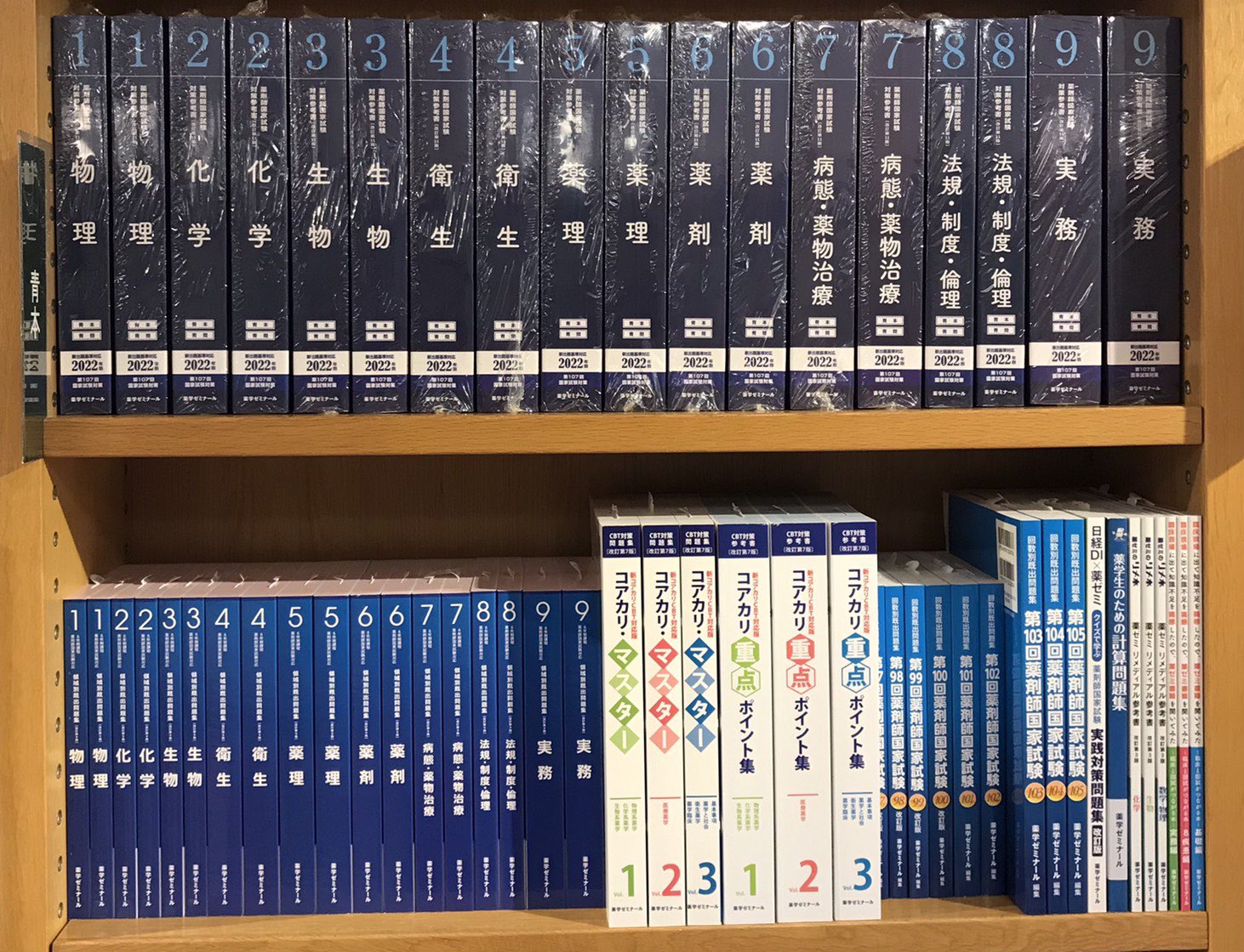 薬剤師国家試験対策参考書 薬剤師国家試験対策参考書 青本 6 薬理・病態・薬物治療2 第