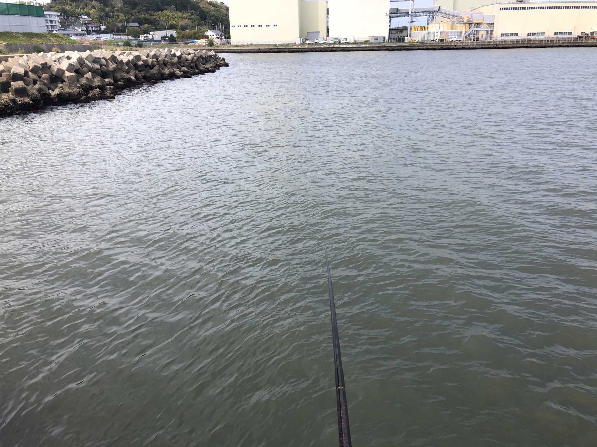 釣侍日立港 仕事終わりに稚鮎釣りでも と思って竿を出したのですが強風で少し釣りをして断念ヽ ノ という事で本日の日立港の様子です 撤退 人 T Co H8dxwdqajm Twitter