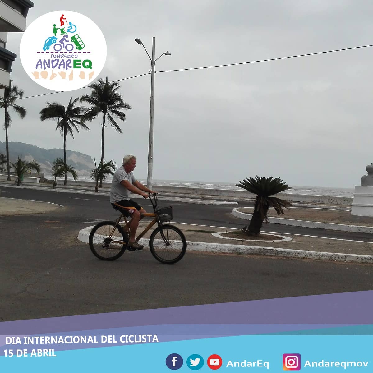 Fundación Andar Eq tweet media