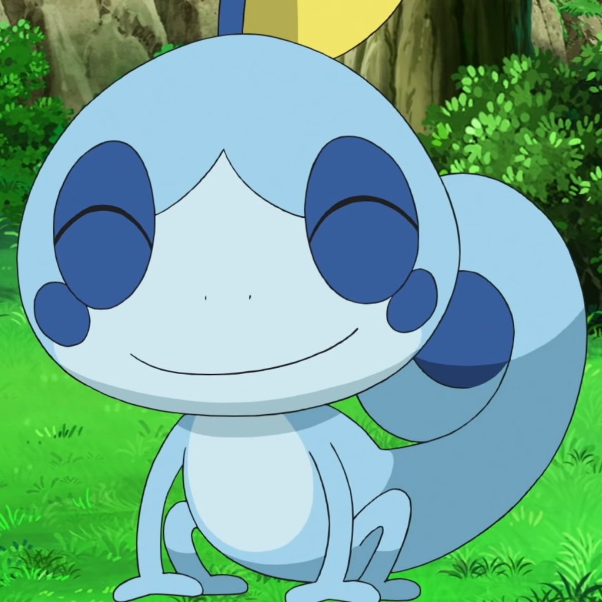 DailySobble's tweet photo. Last smile as Sobble,first smile as Drizzile 💙 https://t.co/iZXKid5TU4