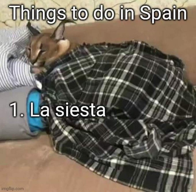 EzF2ufsWEAMvsu7?format=jpg&name=small