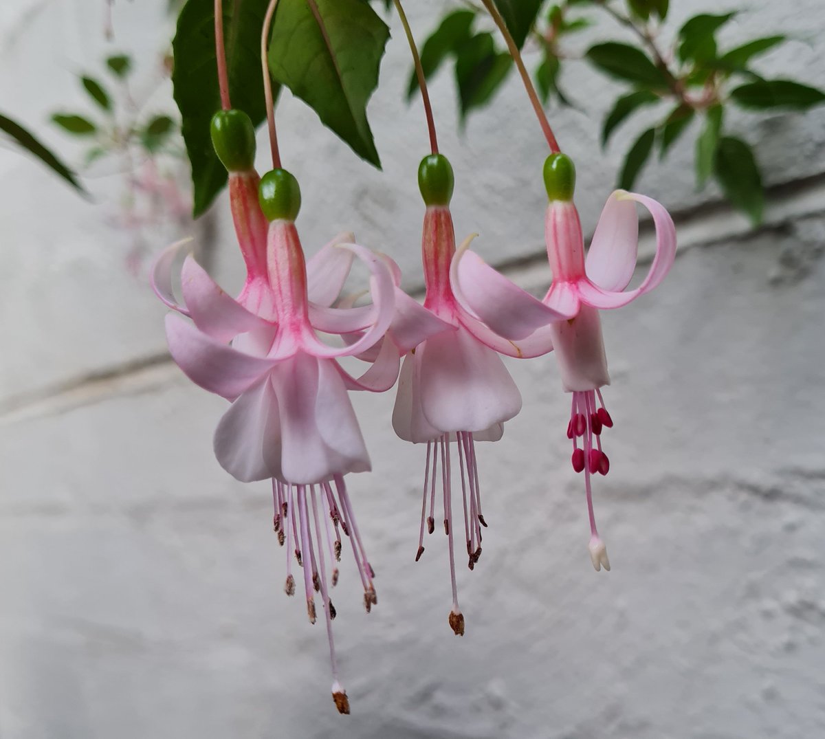 Stuart Williams tweet media