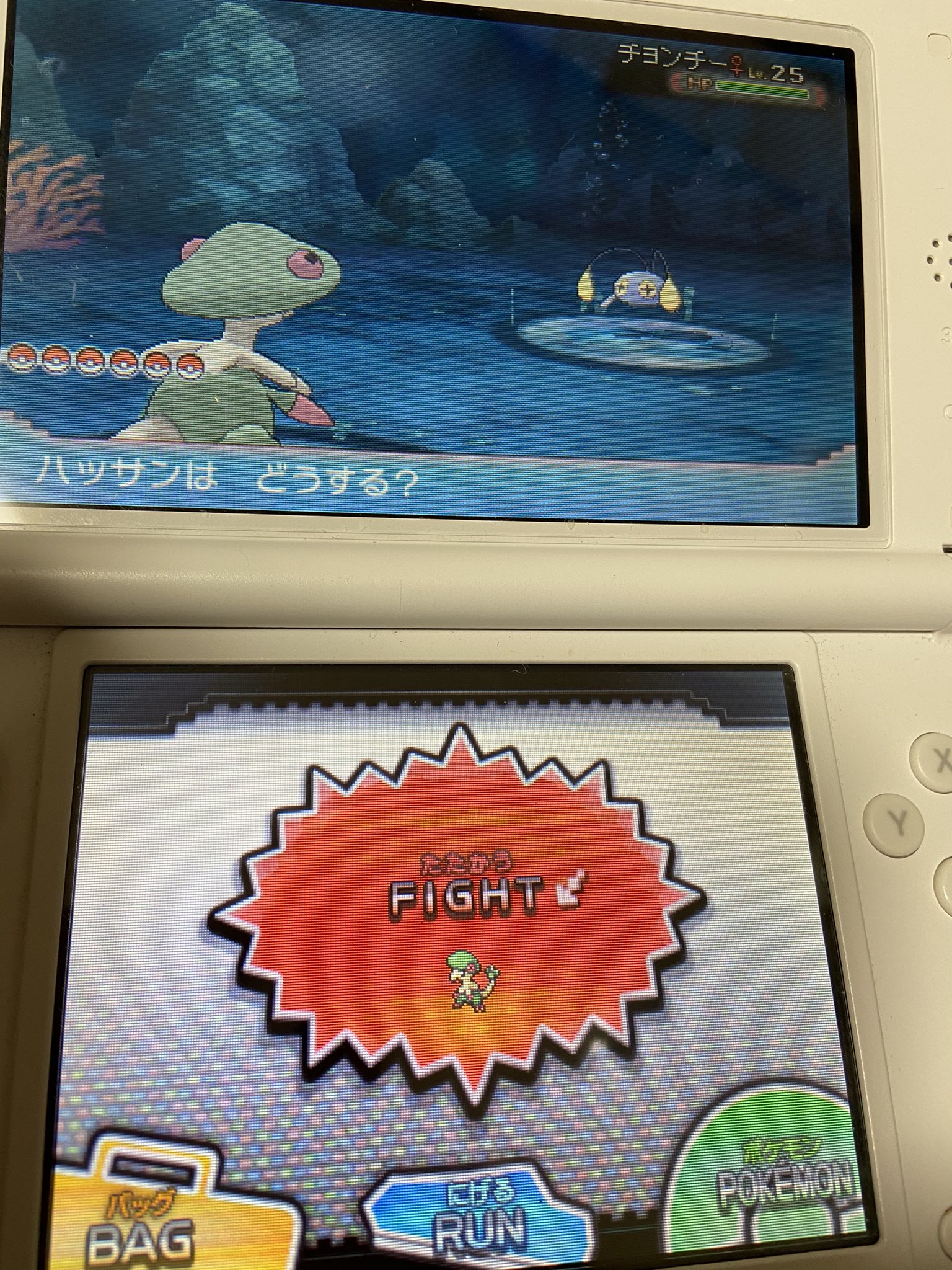 みかん ここ1ヶ月くらい ダイビングして遊んでました かいていどうくつ進めるのが億劫でね ルネシティはめちゃくちゃ綺麗な街 Bgmも景色もめっちゃ好き 昔 ルネシティ入る方法分からなくて苦労したなぁ Oras アルファサファイア T Co