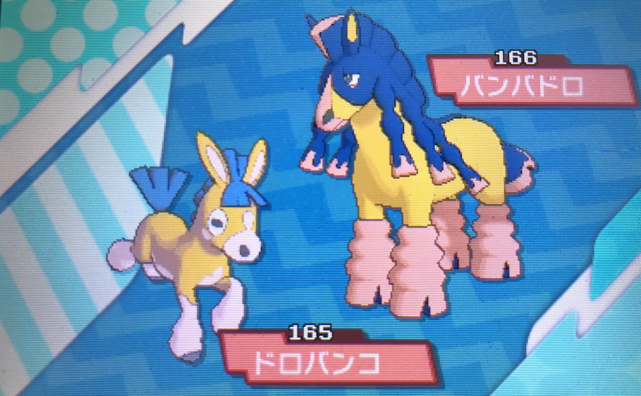 メタボ ドロバンコの色違い出た かわいい 進化もした T Co Zkrhswwbtr Twitter