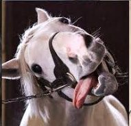 تويتر さーや 11 28リトコス على تويتر Cos 観覧注意 ウマ娘 ゴールドシップ お馬ゴルシ様凄くやりたすぎた٩ ᐛ ۶ T Co Vhetc0fuky