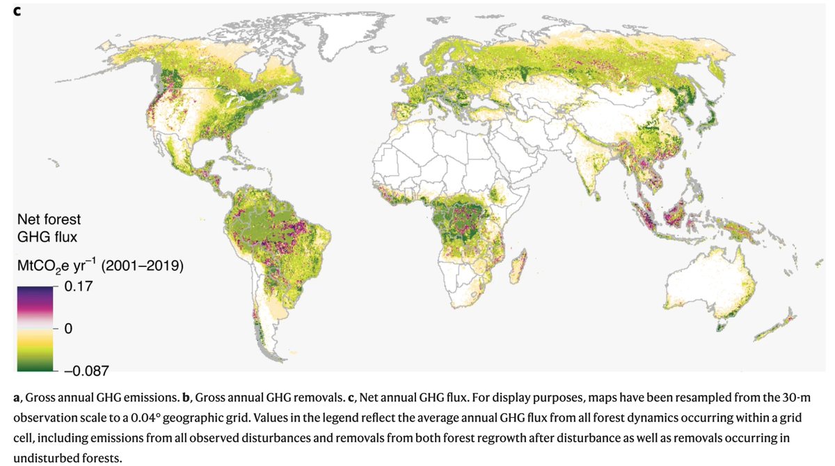 pholmgren's tweet photo. Important map shows world's #forest is predominantly a net #carbon sink esp. where actively managed.

Net sink estimated at -7.6 GtCO2e/yr. Plus we also harvested c4 GtCO2e of wood displacing lots of  #fossils 

Solution. And potential is much greater!

https://t.co/kHJpcQlh9i https://t.co/jnWwoXcvlE