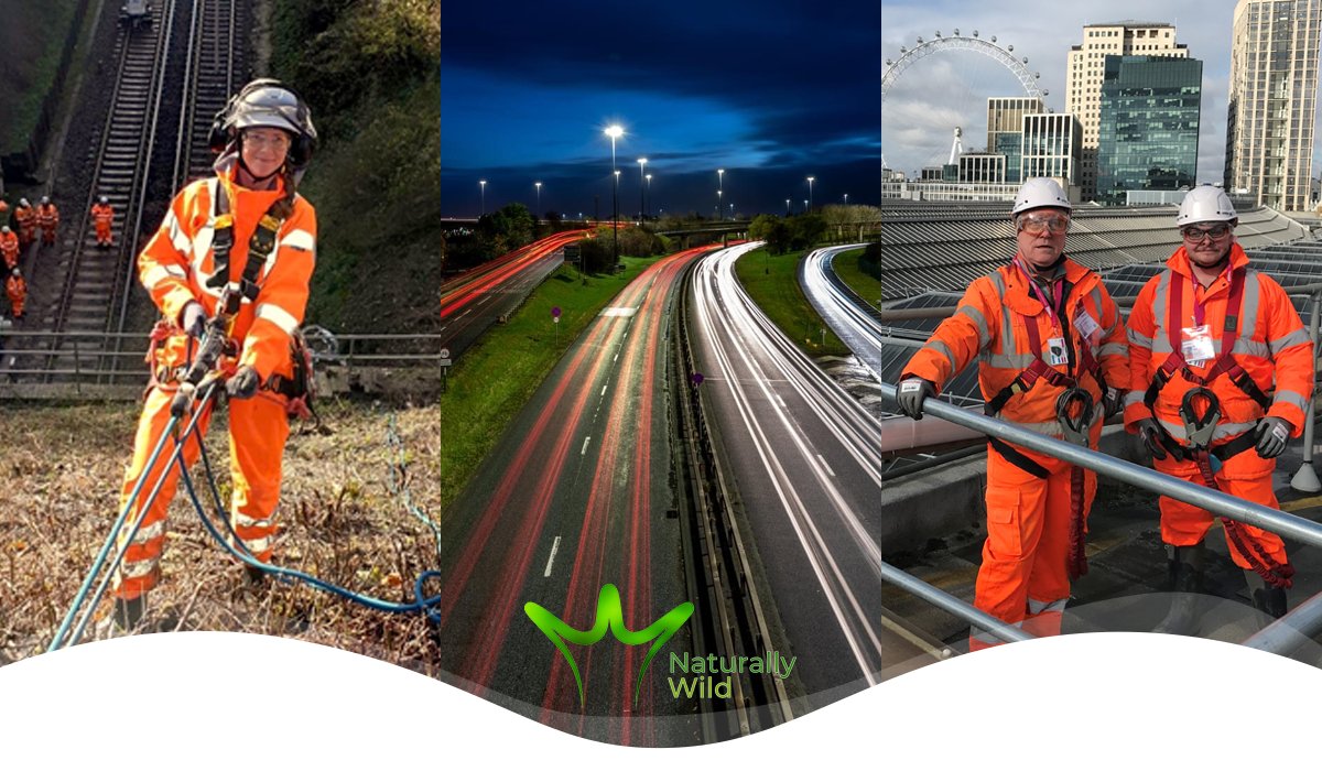 slippery42's tweet photo. Did you know we write about our work on our blog? You can find posts about our roped access above a railway and appointment as Ecological specialists at Waterloo Station, along with much more. Visit our blog here: https://t.co/NiCuVqGmGC #wildlife #wild #nature https://t.co/92MNwnrd80