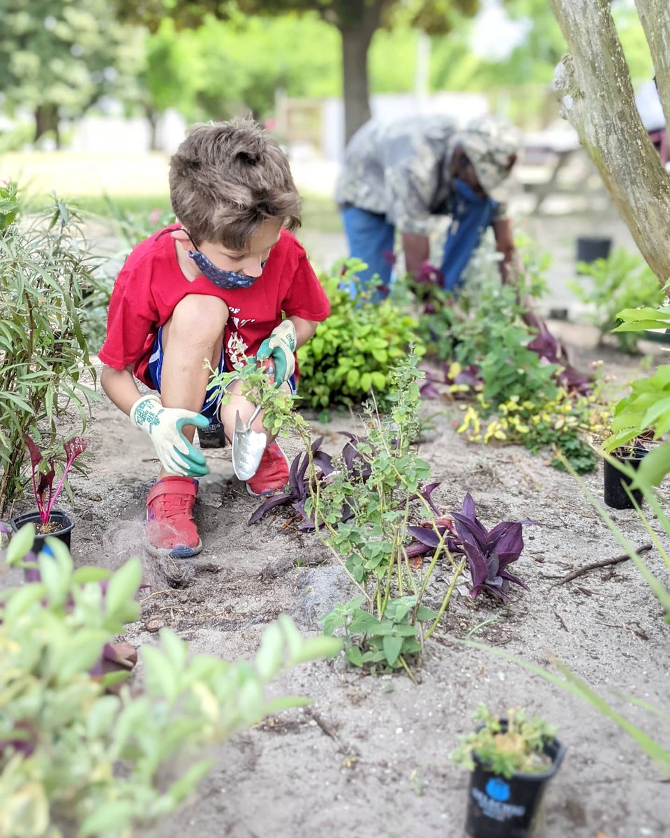FriendsofJFM's tweet photo. Another #GivingThursday shout out to #MeetingGreen for donating these gorgeous plants that Mr. Mack, AT, and Marie planted in the garden today!
#FoJFM #SpreadKindness #BePartOfOurVillage https://t.co/s0eyz2biqk