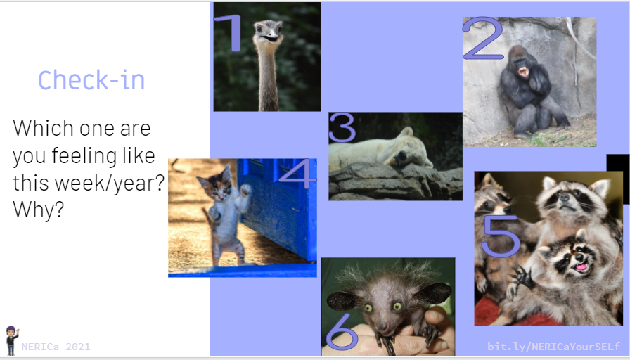 NERICaPreston's tweet photo. How are you feeling today? Let’s do another Check-in! (Same Animals) #SelfCare#NERICaCares https://t.co/V1AuDj0zpg