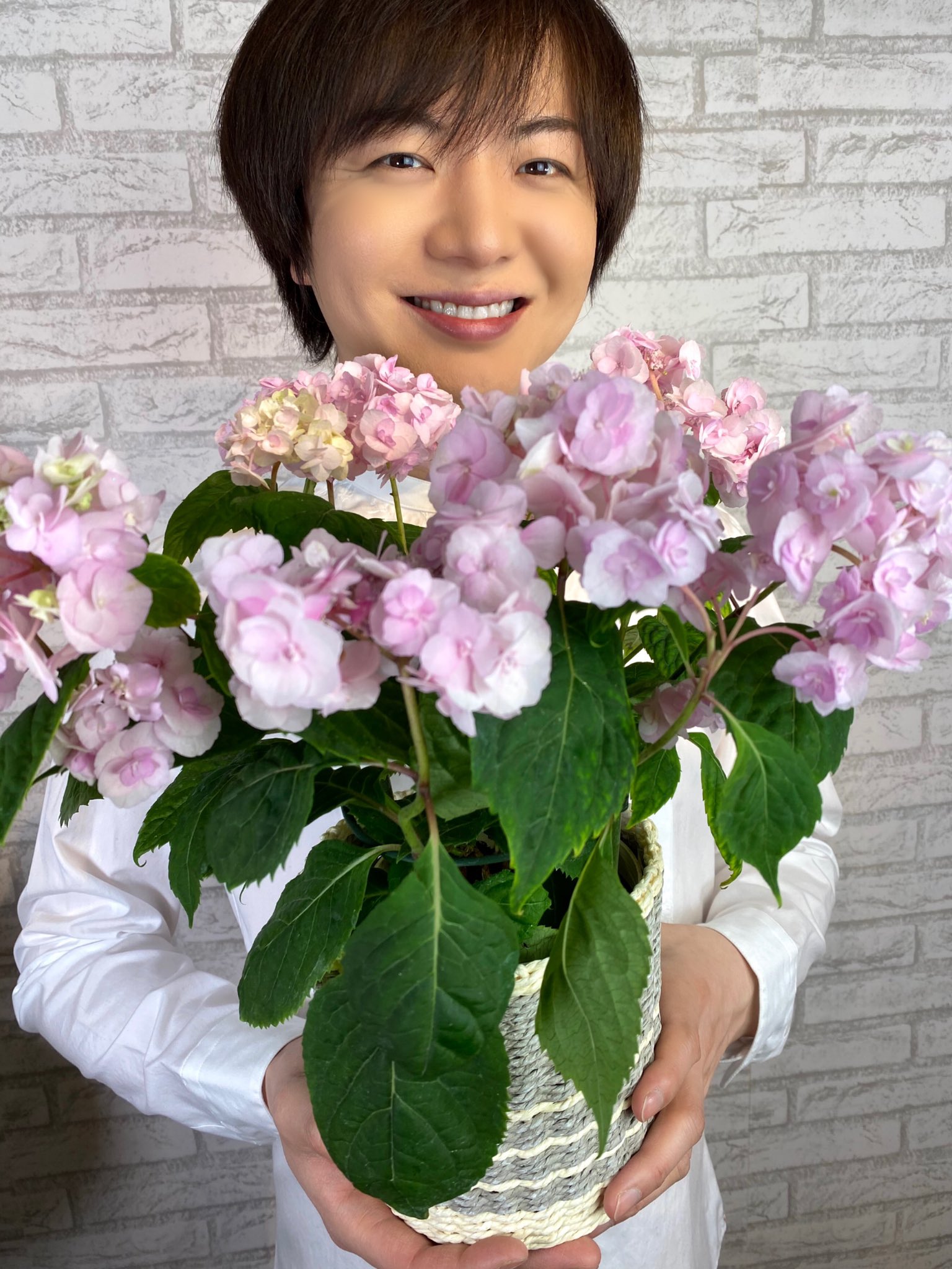 竹島宏スタッフ 公式 ヤマアジサイ 八重の甘茶 花言葉は 乙女の愛 かわいらしい花言葉 一生乙女の皆さんへ 今日も１日お疲れ様でした ひろネット 花便り 花言葉 花 ヤマアジサイ 八重の甘茶 花を贈ろう 花のある暮らし 花のある
