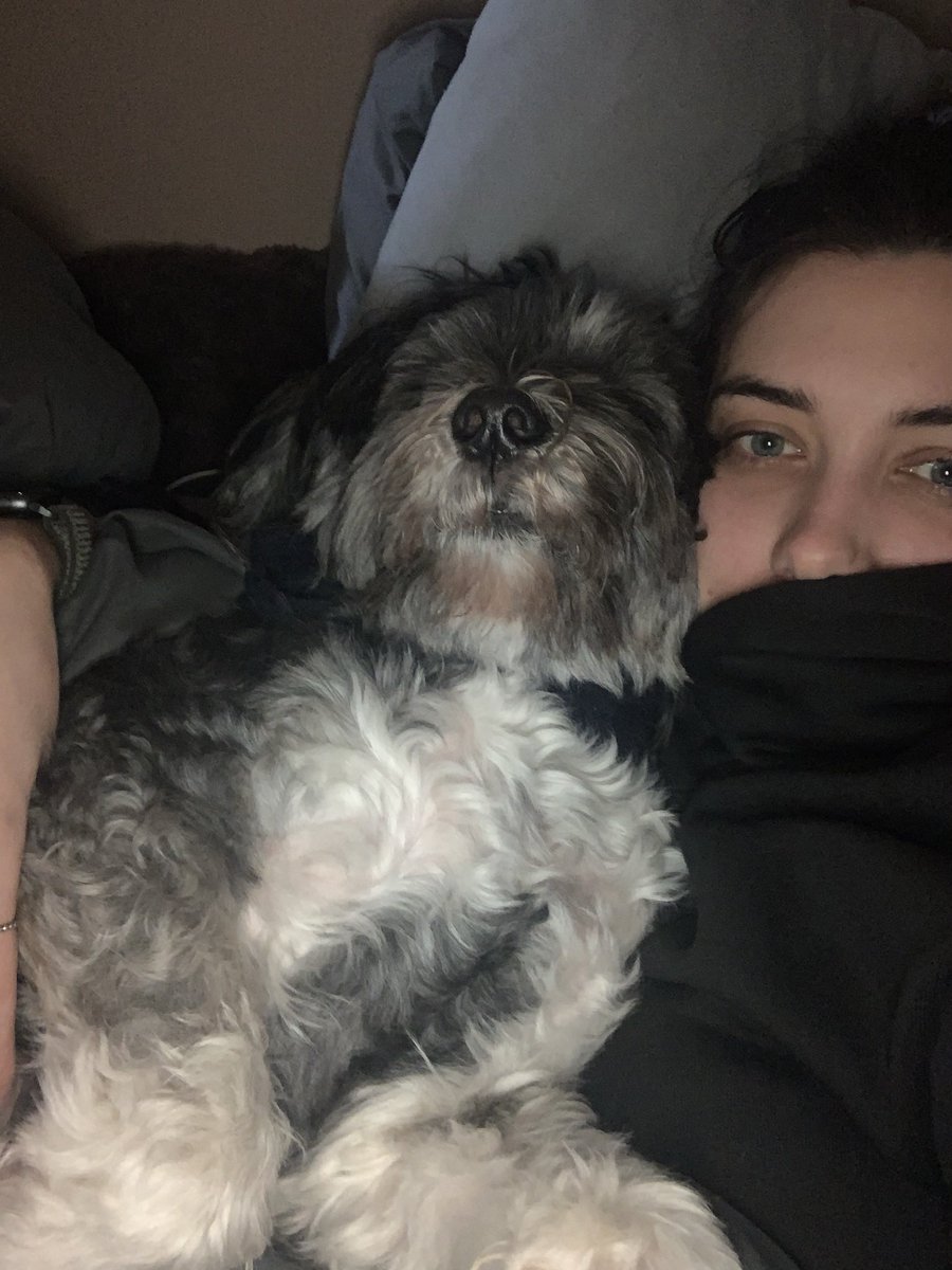 Hoping my wee man is home today! 🤞🏻 Doesn’t matter if you are a human mum or a fur baby mum to know when something is not right. Broxi was diagnosed with pancreatitis yesterday and is at the vets on a IV drip. Luckily they think I caught it early 💙