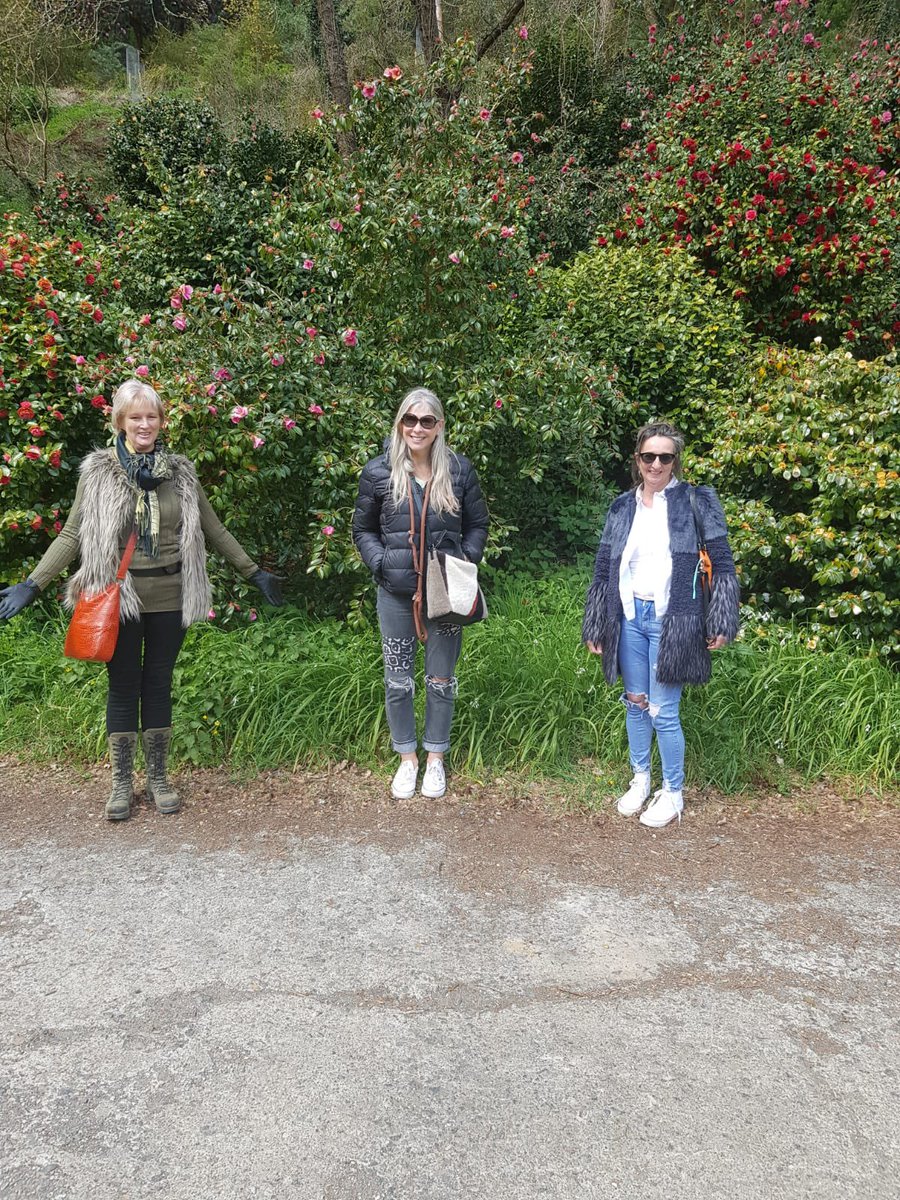 Sharron Davies HoL MBE tweet media