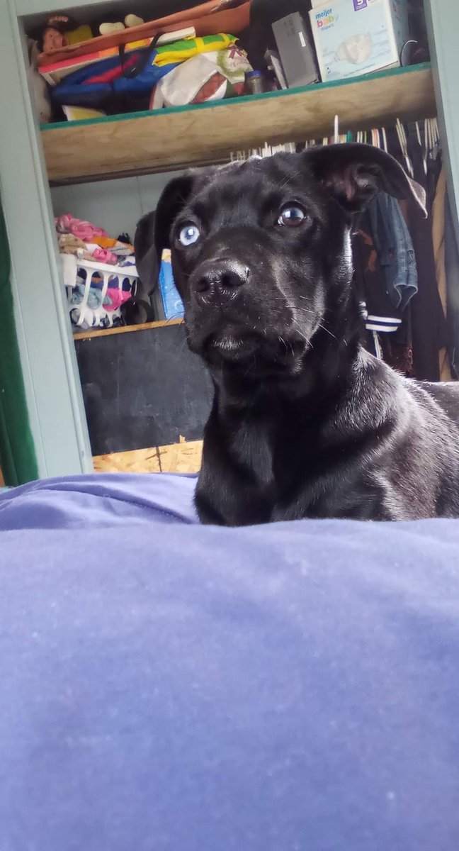 Pretty Please Pepper.