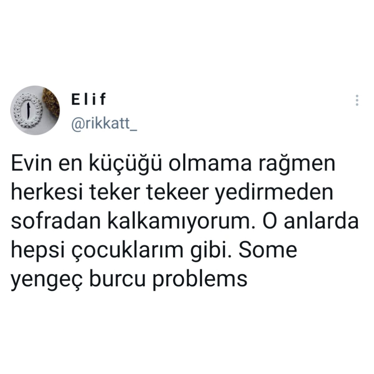 Yengeç Burcu;