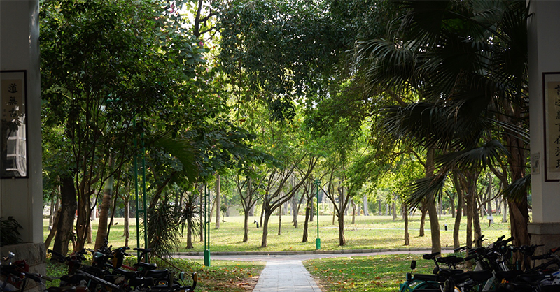 Peking University (@pku1898) on Twitter photo Going for a stroll on the #PKU Shenzhen Graduate School campus is like sauntering through the forest where you can encounter green trees, tranquil ponds, and the blue sky. <a href="/PKUShenzhen/">Peking University SZ</a> Going for a stroll on the #PKU Shenzhen Graduate School campus is like sauntering through the forest where you can encounter green trees, tranquil ponds, and the blue sky. <a href="/PKUShenzhen/">Peking University SZ</a>
