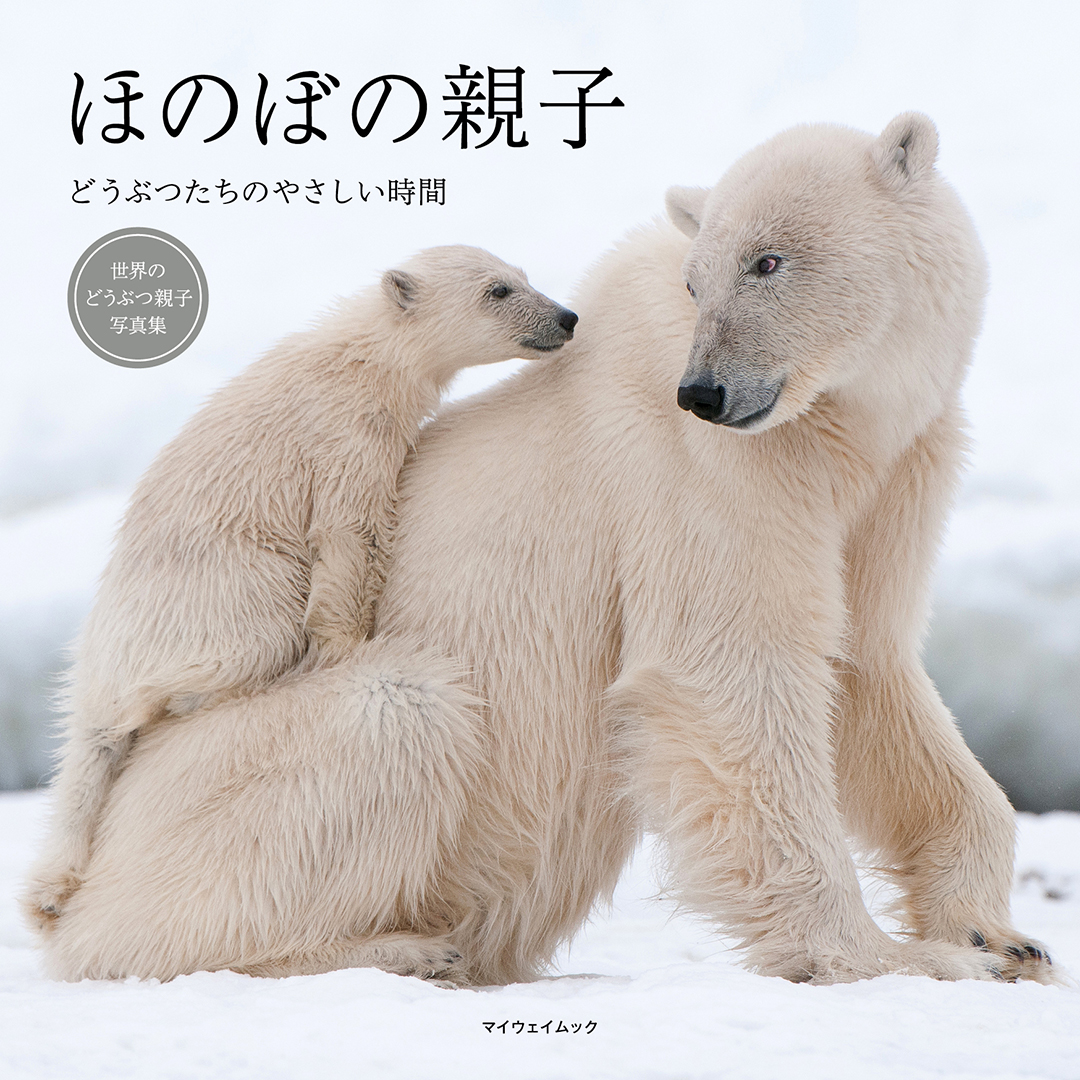 ピーエーディー 動物 写真集 おすすめ ほっこり癒し系 笑顔にキュン 動物のかわいい写真集 です 貴重な写真をたくさんご覧頂けます どうぞ宜しくお願いします 編集 制作 株式会社ピーエーディー 動物写真集 動物本 動物 どうぶつ 動物好き