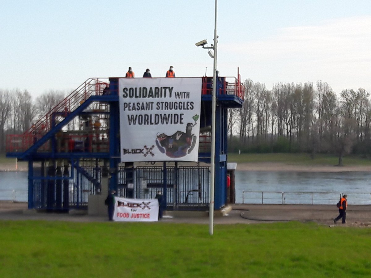 BlockBayer's tweet photo. Stoppt die Unterwerfung der Ernährung & Landwirtschaft unter die Profitlogik! Für #FutureIsFoodSovereignty
#BlockBAYER https://t.co/MvZaGYUFZP