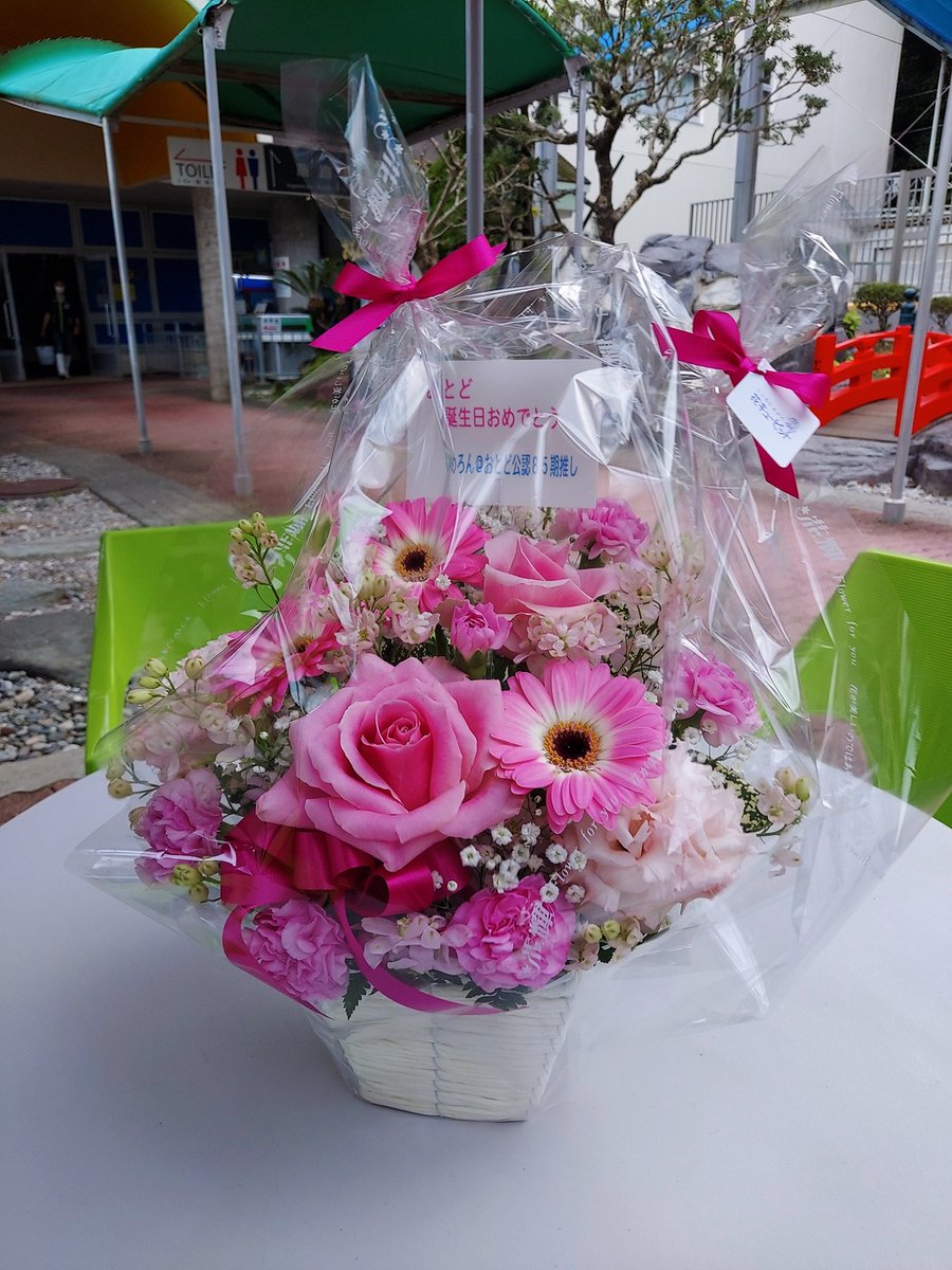 桂浜水族館 公式 みんなー お酒やおつまみ お菓子やケーキ イラストや写真のコラージュ お手紙やお祝いのメッセージ いろんな愛を贈ってくれてありがとう おとどは今日から５歳です 生まれてきて良かった みんなと出会えて良かった 言葉をおぼえ