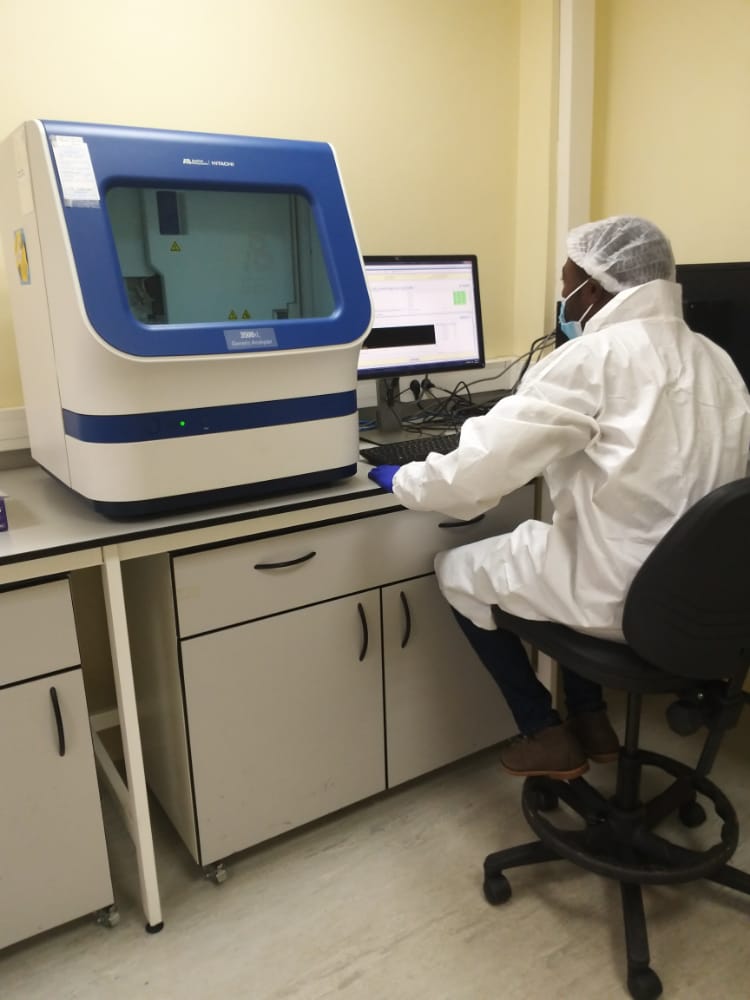 It is my two months in DNA lab,
My interest in genomics is increasing.

Any masters position?<a href="/GCNewsSA/">Genetic Counselling</a> <a href="/_B_I_O_T_E_C_H_/">BIOTECH</a> <a href="/AcademicChatter/">Academic Chatter™</a> <a href="/ATPsciencegirl/">Dr. Amanda Tokash-Peters</a> <a href="/Noumank37/">Nouman khan</a>