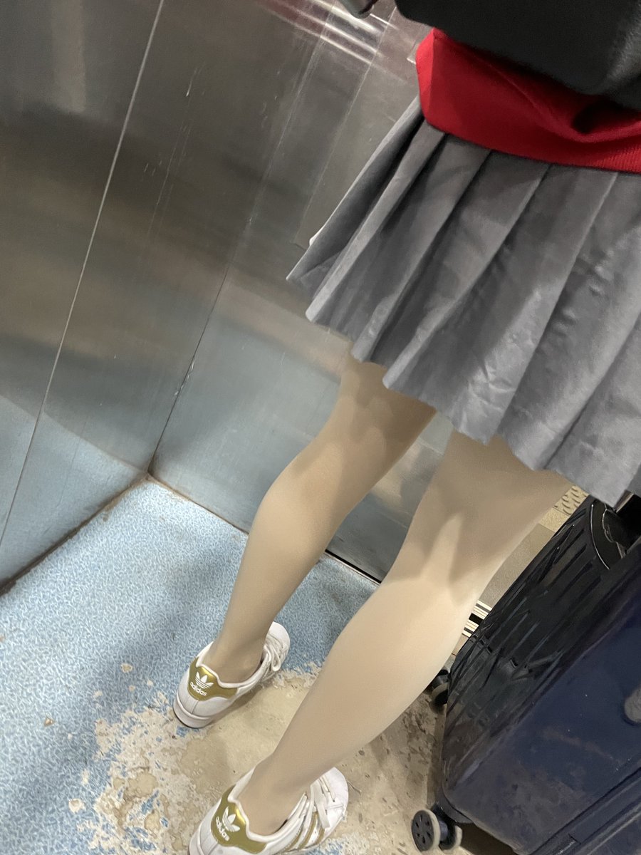 AlicizationFxxk tweet media