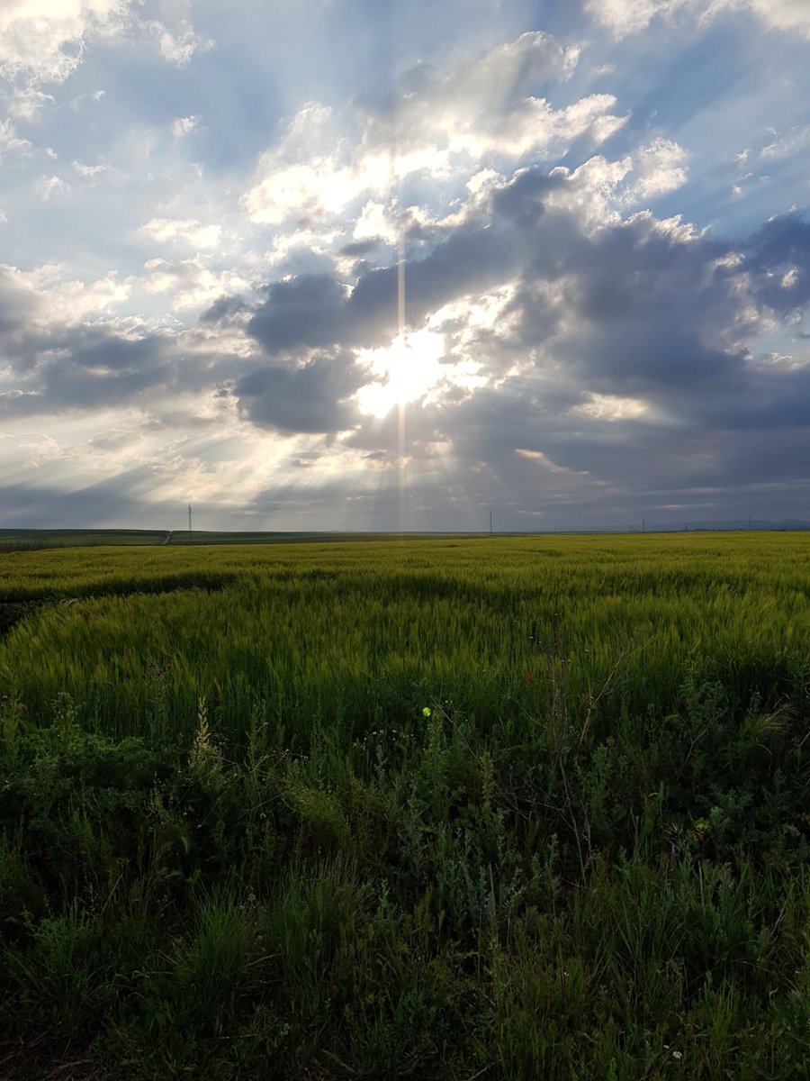 Por fin #viernes la semana se a hecho larga. Último día y a disfrutar del #finde.
#felizviernes #picoftheday #happy #cocinaconcristina #recetaspasitpapasito