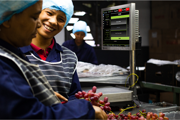 AdaginT's tweet photo. With the help of https://t.co/XnrH8e7xEG, our aim is to give farmers exactly what they want in a digital management system.
Read more https://t.co/WpdEO93mzq
#farming101 #agriculturaltechnology #farmingtechnology #precisionfarming #adagintechnologies #agrirevolution #traceability https://t.co/NAmA61EFDw