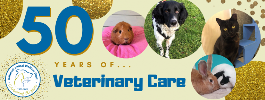 NAWT_updates's tweet photo. Our latest '50 years of...' blog post is all about veterinary care and how this has changed over the last five decades, a very interesting piece written by talented student vet Sophie Griffin 😀

https://t.co/tjLKPSFqVy

#blogpost #vetblog #veterinary #vetcare #vet https://t.co/NXTKqk6Ouh