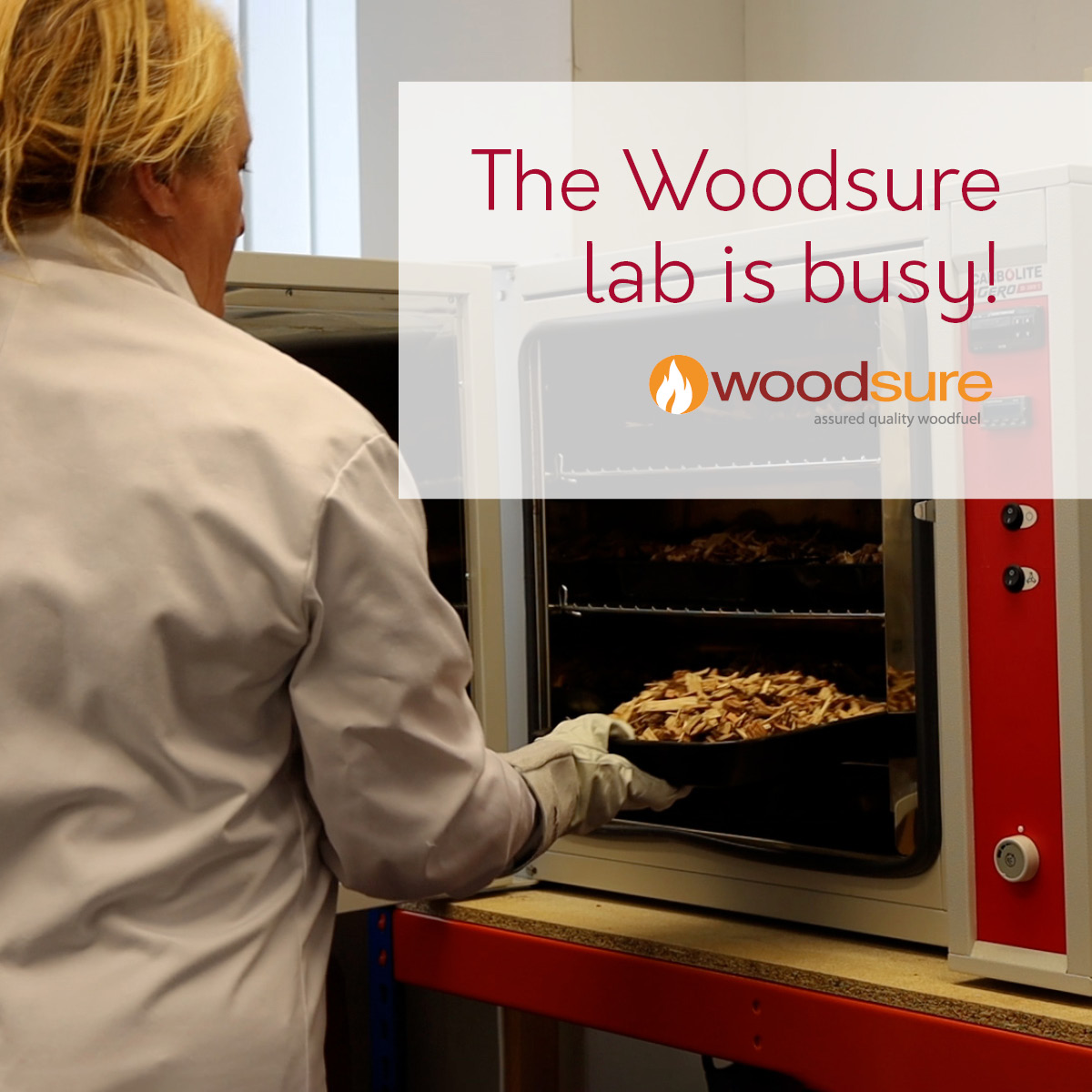 👩‍🔬 The Woodsure lab has been incredibly busy with Ready to Burn samples for new applicants, testing firewood, kindling and woodchip.

➡️ Find your local Ready to Burn firewood supplier - woodsure.co.uk/wood-fuel-supp…

#Woodsure #readytoburn #woodfuel #qualityassurance
