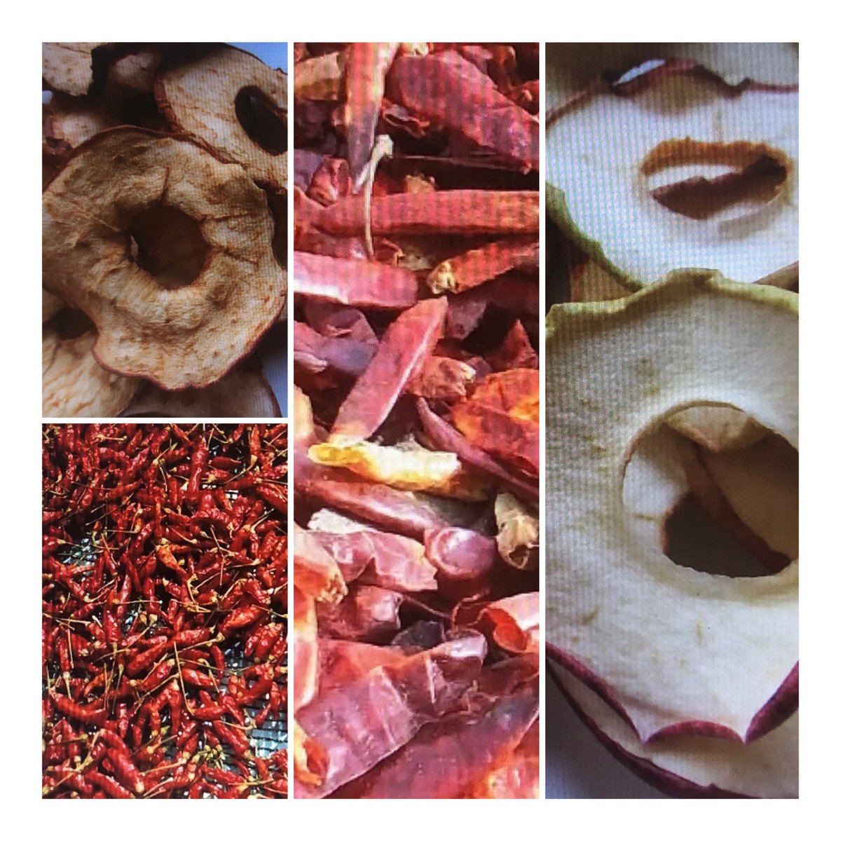 LeibnizATB's tweet photo. 90 experts joined yesterday's workshop on processing of organic food stuffs ๐
๐; smart drying, #FoodHygiene + consumer preferences as a result of the EU project #SusOrgPlus @CORE_Organic @fiblorg @BionextTweets @unitusviterbo @barbara_sturm @SINTEF ๐https://t.co/y4ugKTzfHN https://t.co/D59pdVyJYw