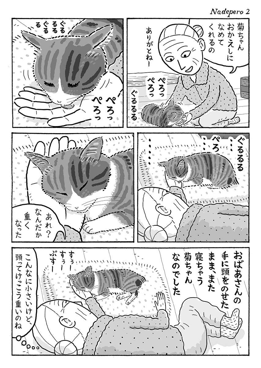 2ページ猫漫画「お返しぺろぺろ」 #猫の菊ちゃん 