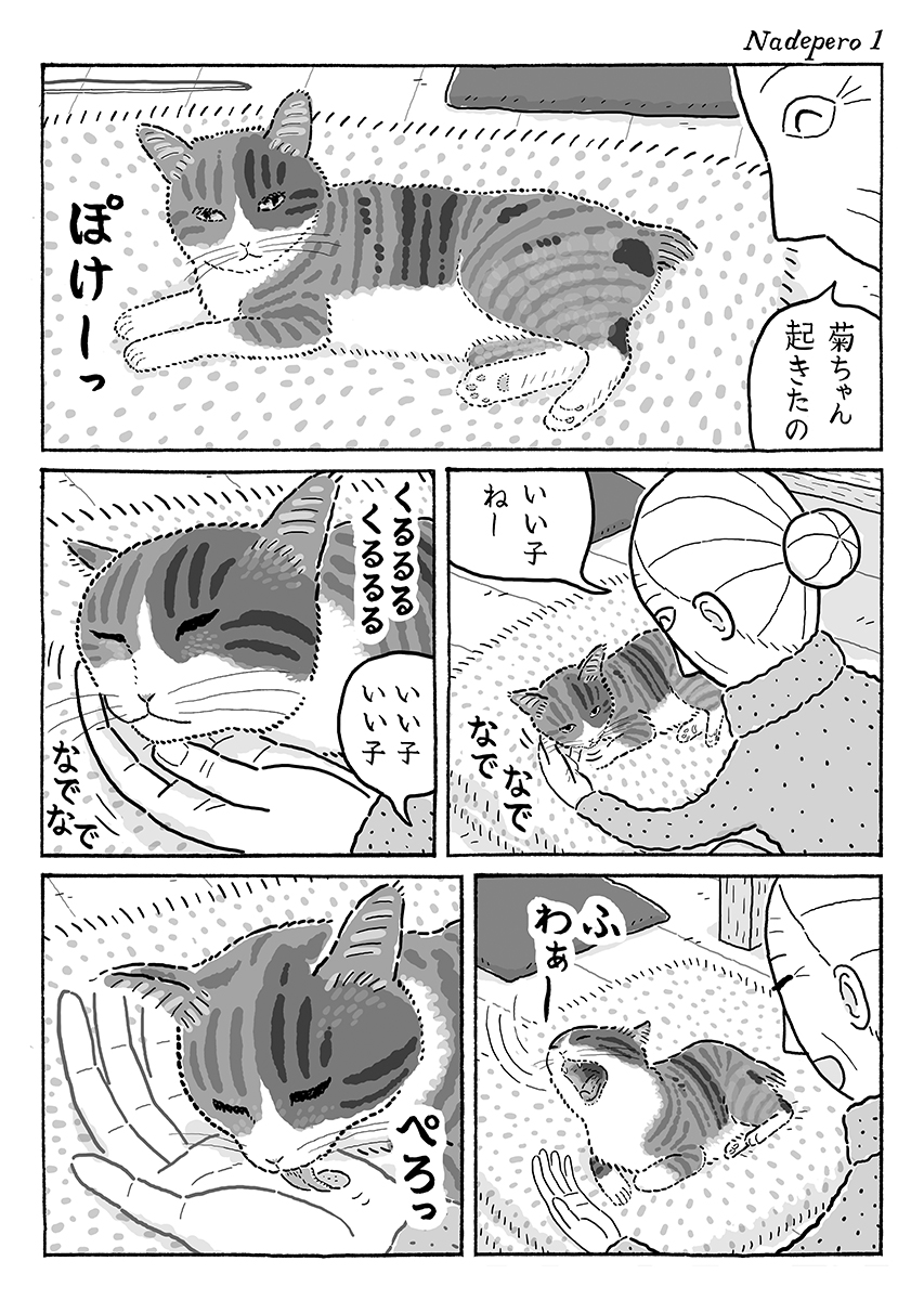 2ページ猫漫画「お返しぺろぺろ」 #猫の菊ちゃん 