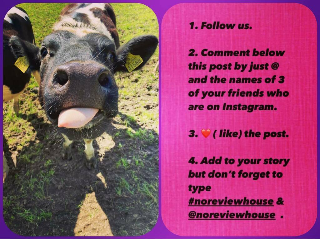 noreviewhouse's tweet photo. Don’t forget to enter our competition to WIN €150 worth of accommodation at Nore View House. To enter follow the instructions on the picture. GOOD LUCK 🤞🏽 #🤞🏽 #noreviewhouse #pickoftheday #explore #getoutside #explorelocal #kilkenny #visitkilkenny #bikehire #fishing #comesta… https://t.co/zU0cDHYMRQ