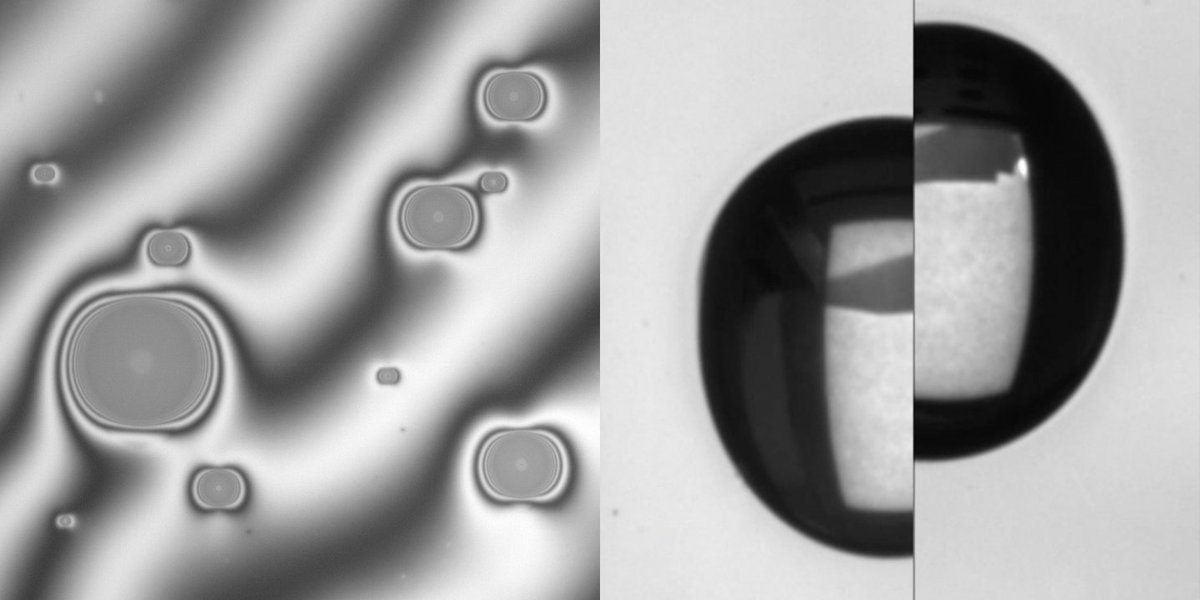 Абстракция клетка. Fluid frames 2. Bezel art. Флюид вектор. Good vibrations.