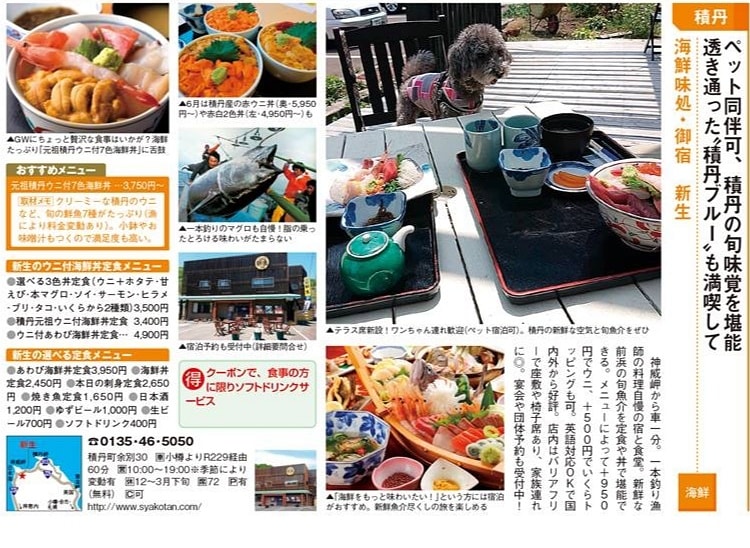 積丹 海鮮味処 御宿新生 Shinseisyakotan Twitter