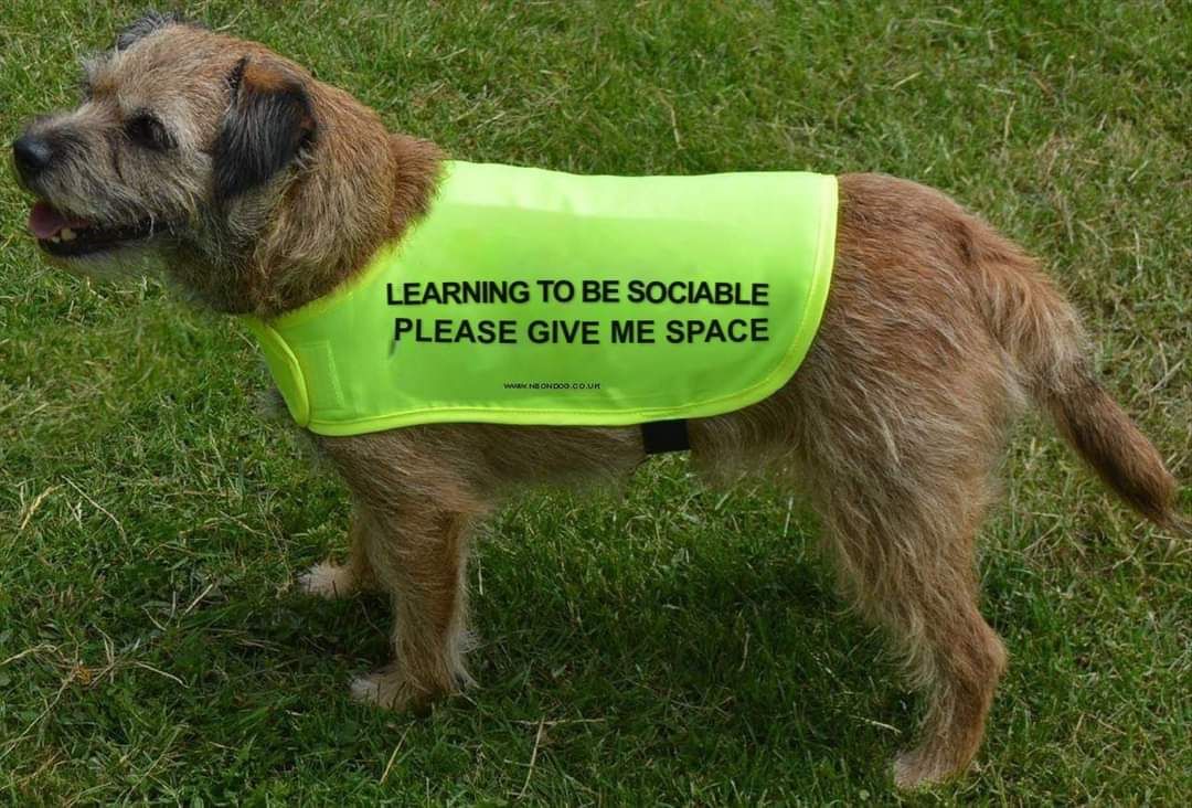 nellisoncounsel's tweet photo. #CasualFriday

Need to get myself one of these with everything reopening.

#therapymemes #counsellingmemes #therapy #counselling #counsellor #locldown https://t.co/voE6S8YbjE