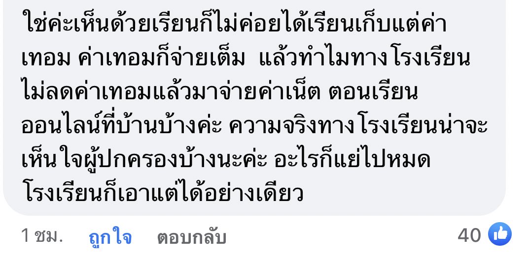🧸 tweet media
