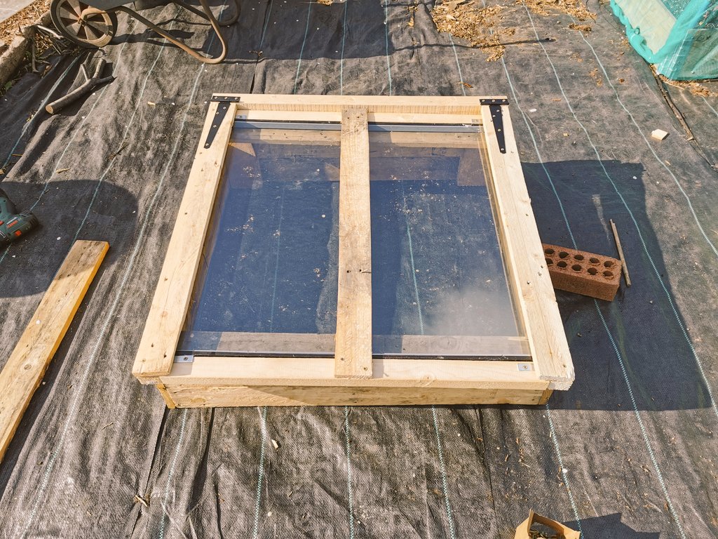 kennyhi38050052's tweet image. One coldframe made from pallets and a window that a double glazing company didnt want. Only cost me the hinges. #allotment #gyo #coldframe #recycle
